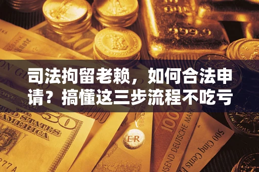济南司法拘留老赖，如何合法申请？搞懂这三步流程不吃亏！
