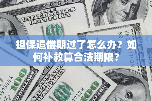 济南担保追偿期过了怎么办？如何补救算合法期限？
