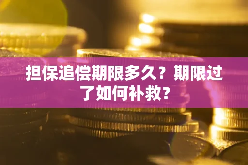 济南担保追偿期限多久？期限过了如何补救？