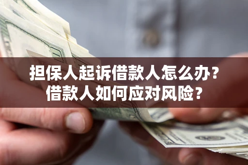 济南担保人起诉借款人怎么办？借款人如何应对风险？