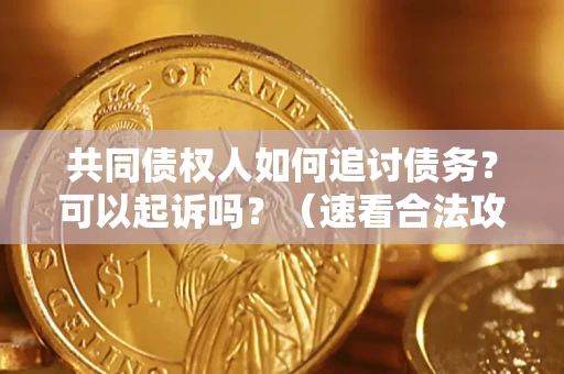 济南共同债权人如何追讨债务？可以起诉吗？（速看合法攻略）